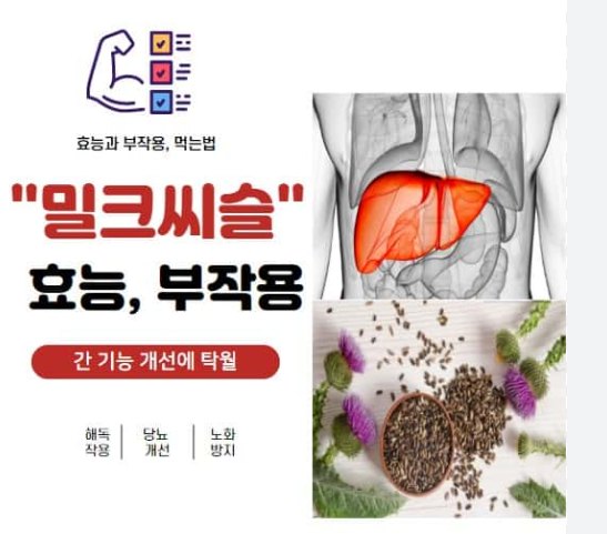 밀크씨슬 실리마린 간 영양제 효능 및 안색 개선 효과